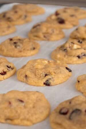 Nos cookies aux pépites de chocolat blanc et aux cranberries sont parfaits pour satisfaire vos envies sucrées.